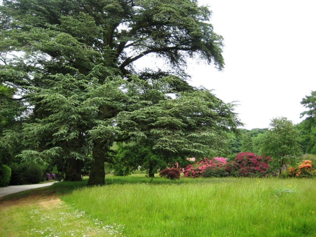 Willington Hall Hotel Tarporley Bagian luar foto
