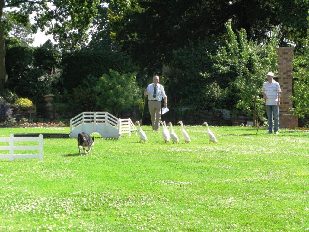 Willington Hall Hotel Tarporley Bagian luar foto